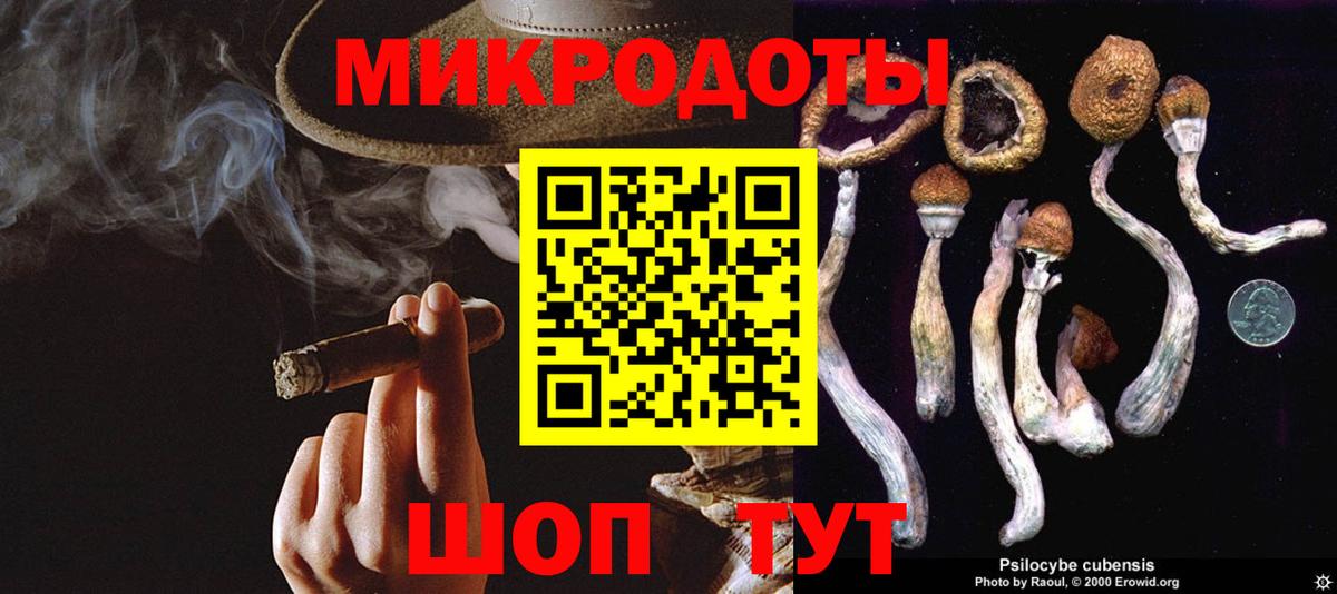 Галлюциногенные грибы Psilocybe  Вход с VPN  Усть-Джегута  Галлюциногенные грибы Magic Shrooms 