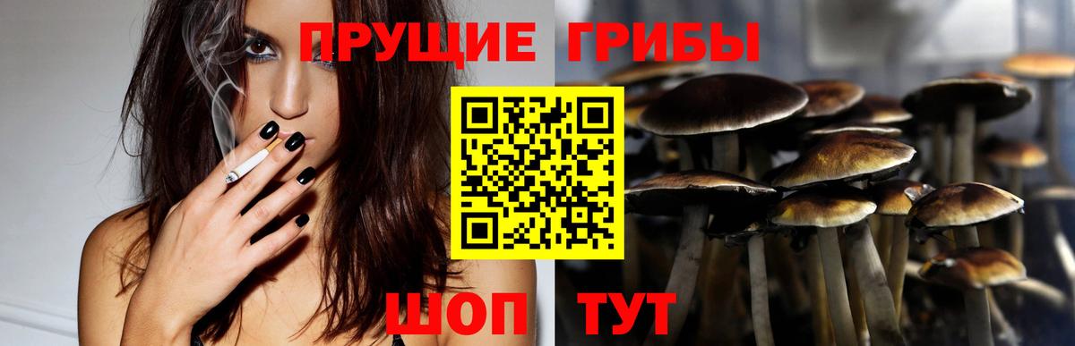 Псилоцибиновые грибы прущие грибы Усть-Джегута